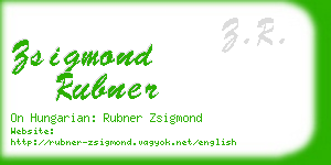 zsigmond rubner business card